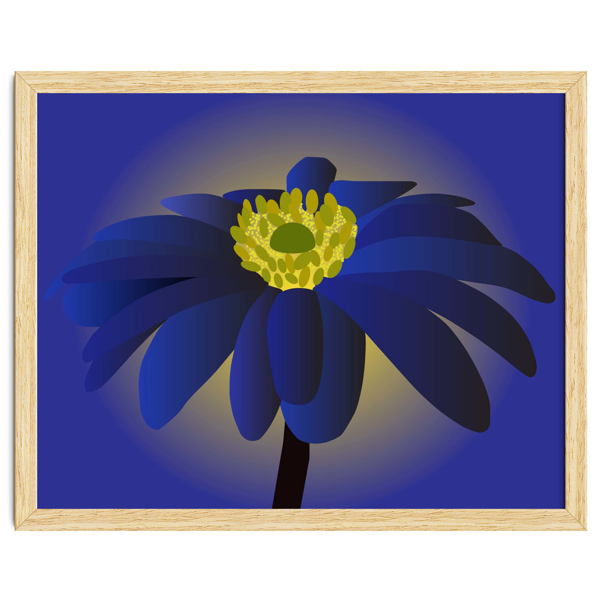 Anemone Blanda Flower Art