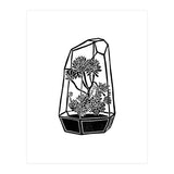 Terrarium  (Print Only) thumbnail