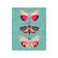 Lepidoptery Study No. 6 (Print Only)