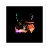 CARABOU-3  (Print Only) thumbnail