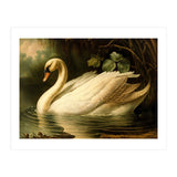 Swan Classic Painting (Print Only) thumbnail