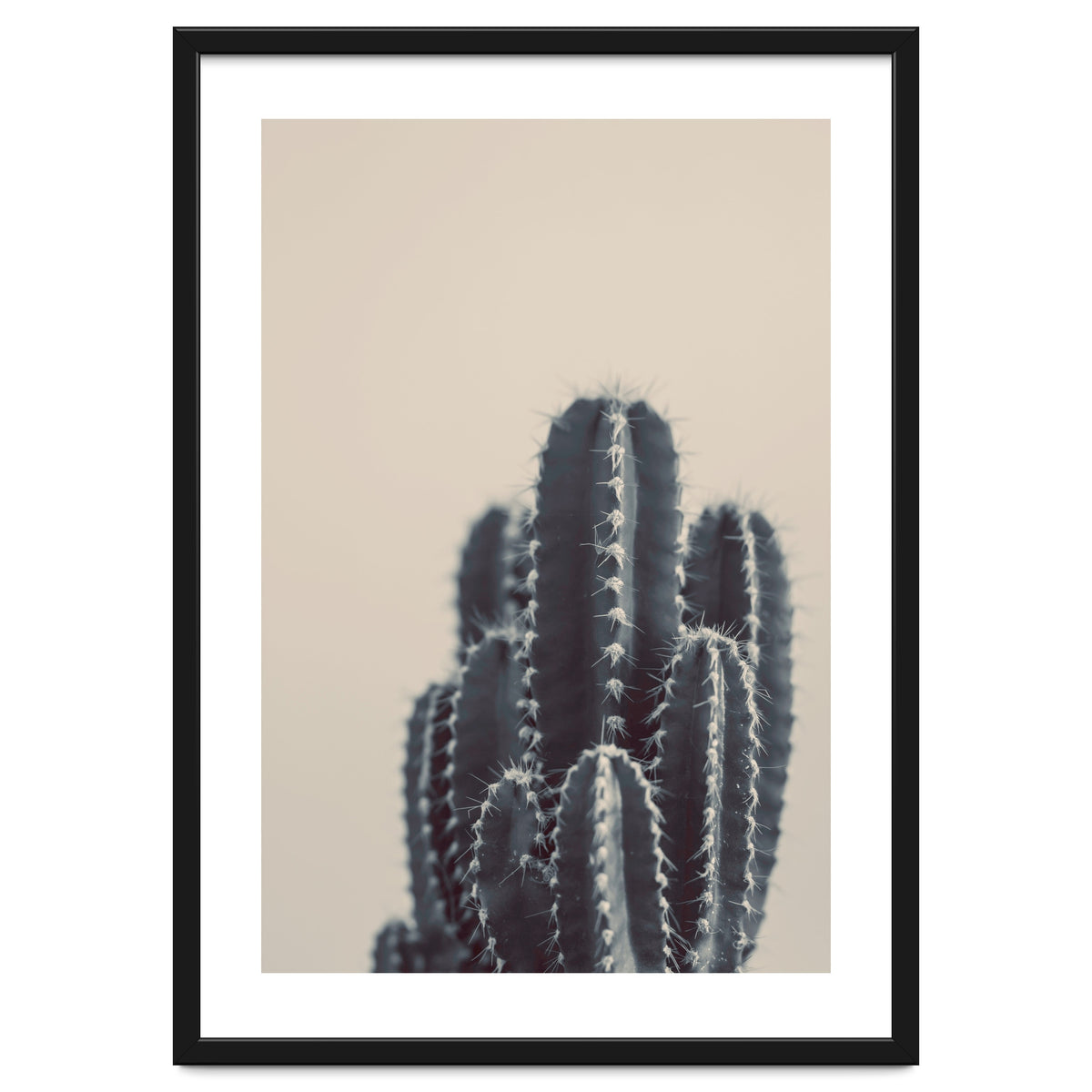 Vintage Cactus #1