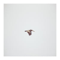 Solo Flight (Print Only)