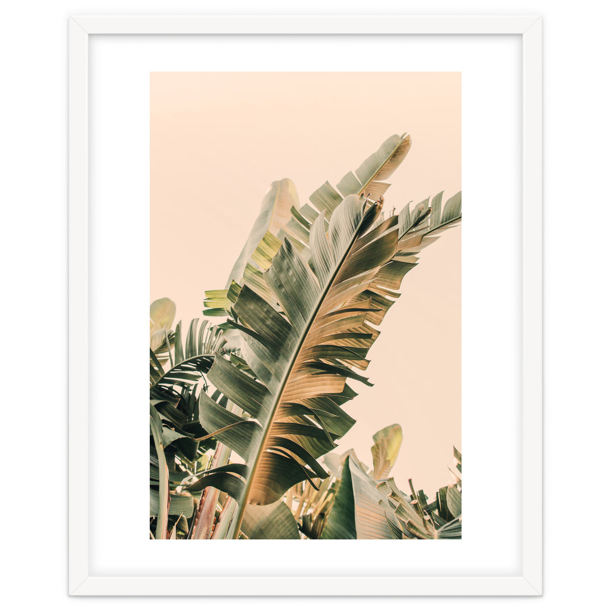 Growing Green Alicia Bock