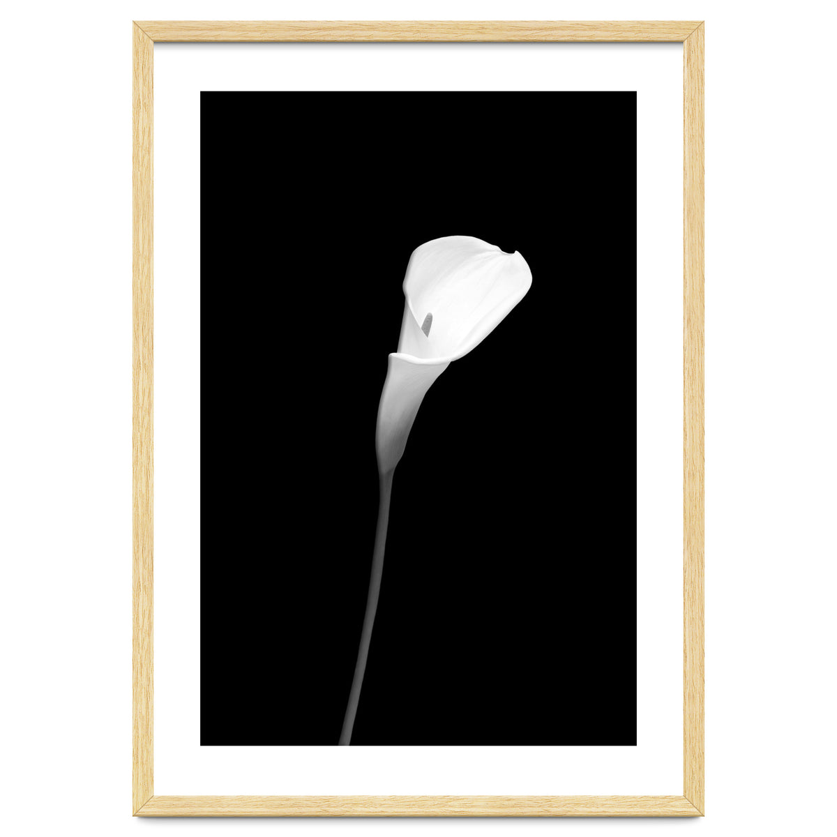 Calla | dark design