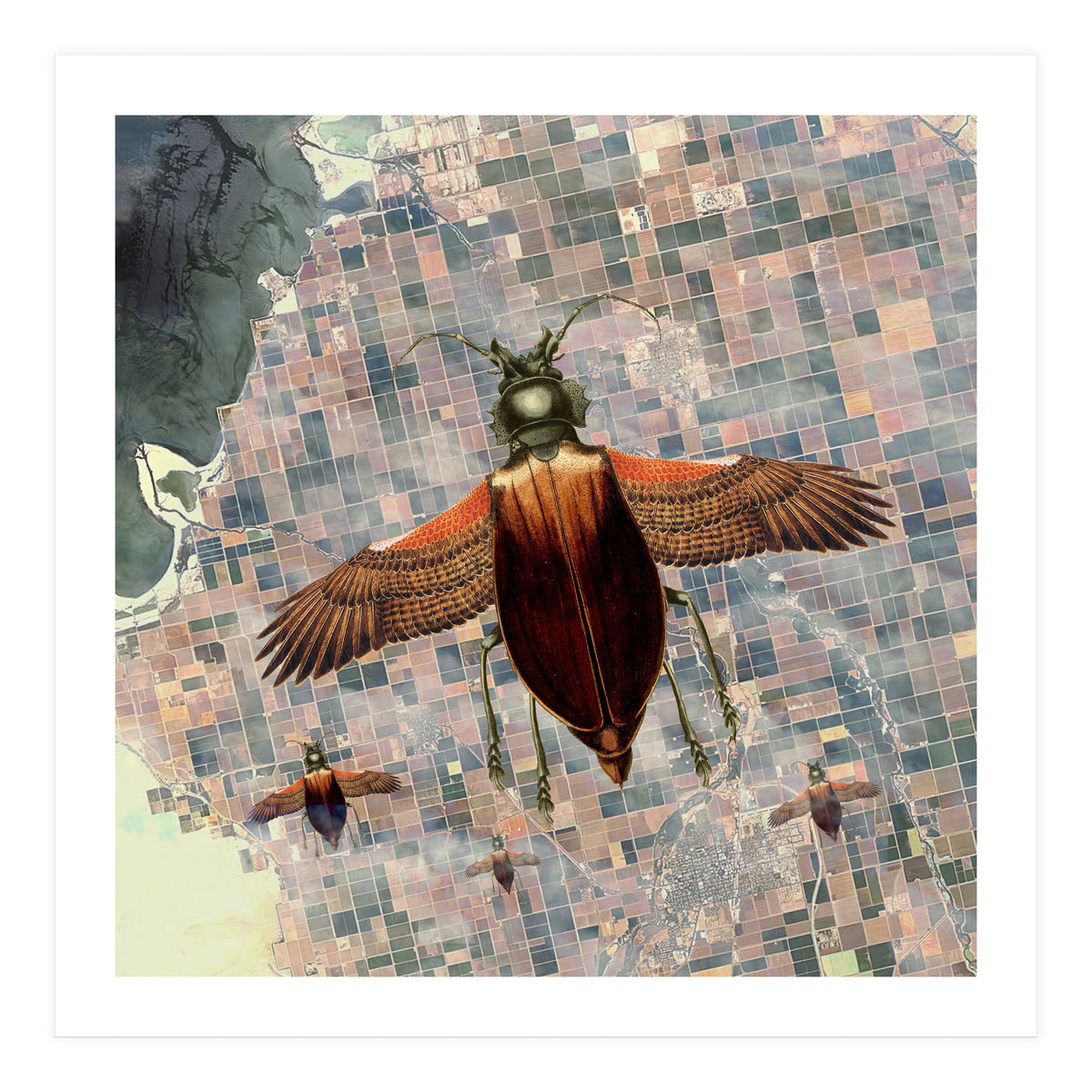 Flying High (Print Only)