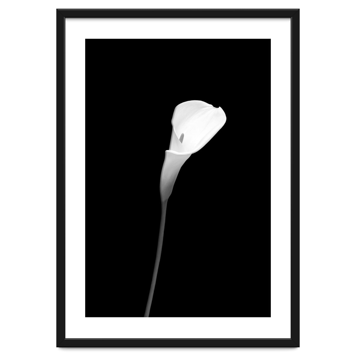 Calla | dark design