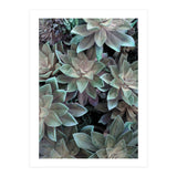 18 (Print Only) thumbnail