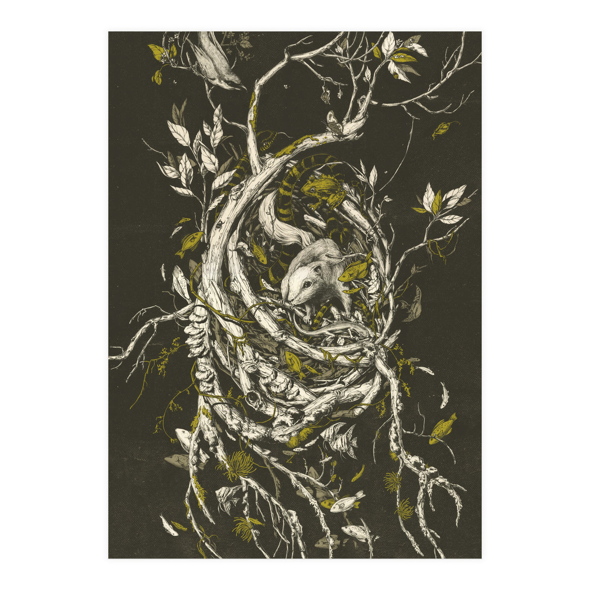 The Mangrove Tree (Print Only)