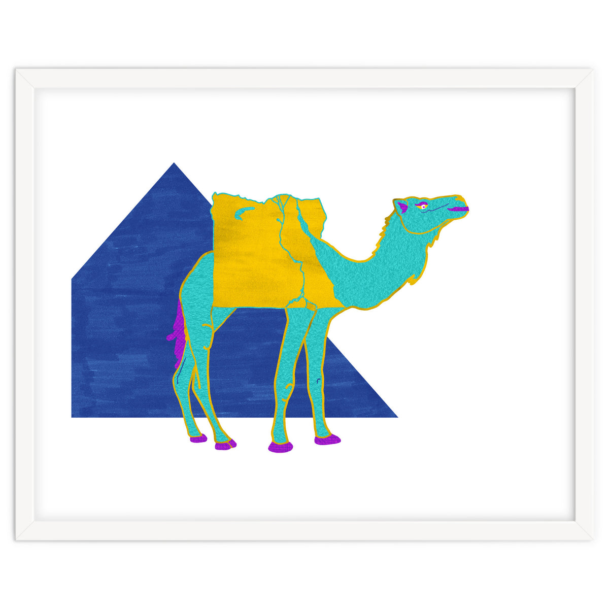 Egyptian Dromedary
