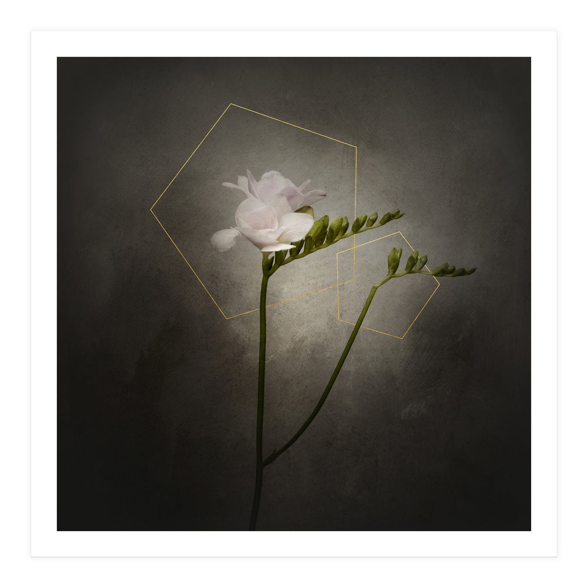 Graceful flower - Freesia | vintage style gold  (Print Only)