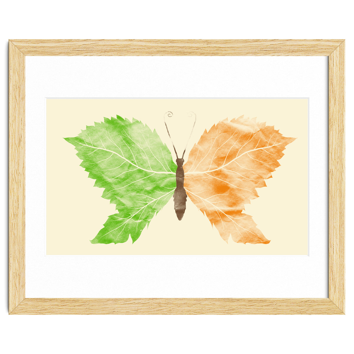 Seasons Change Time Flies