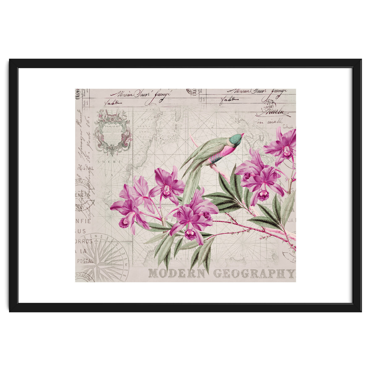 The Birds Voyage Of Discovery