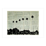 Six Palm Trees . (Print Only) thumbnail