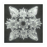 A Winged Debacle (Print Only) thumbnail