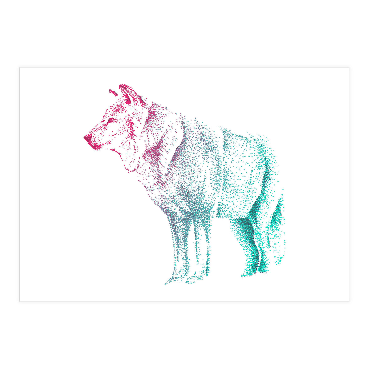 Wolf  (Print Only)
