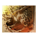 Gold Passion (Print Only) thumbnail