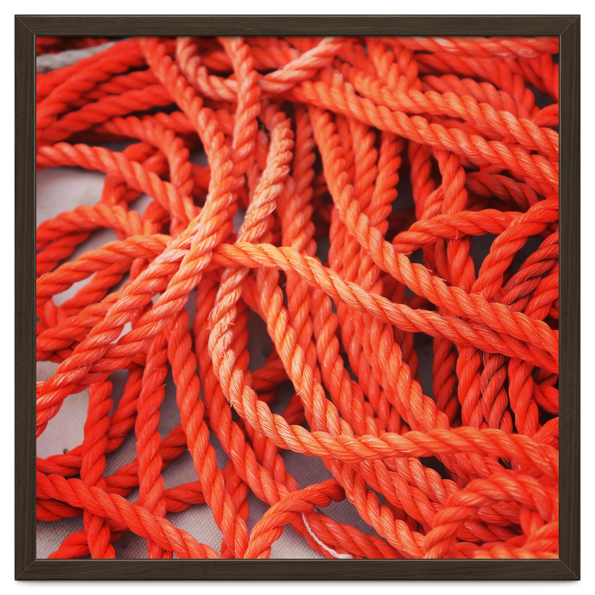 Orange ropes