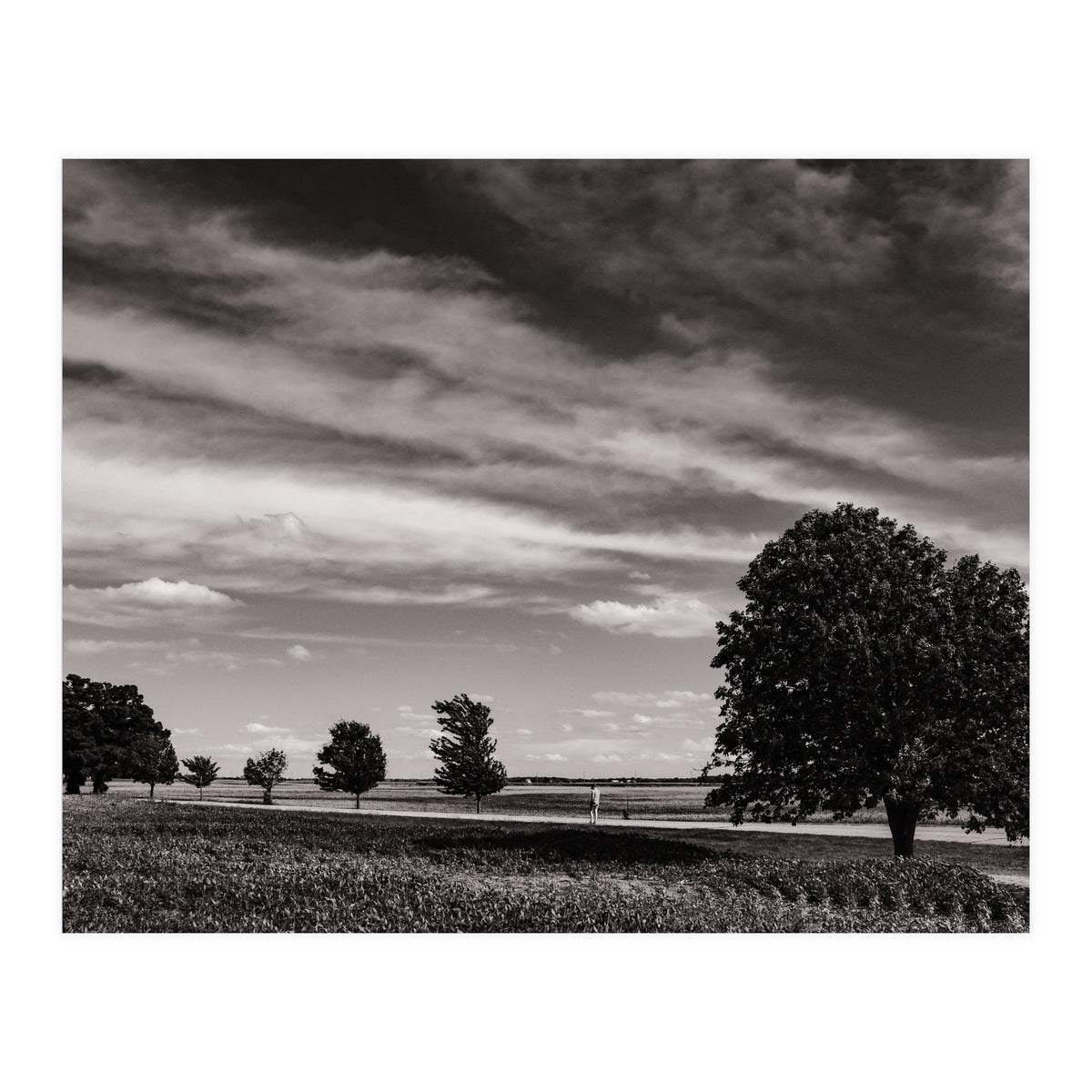 Country Road, Illinois  (Print Only)