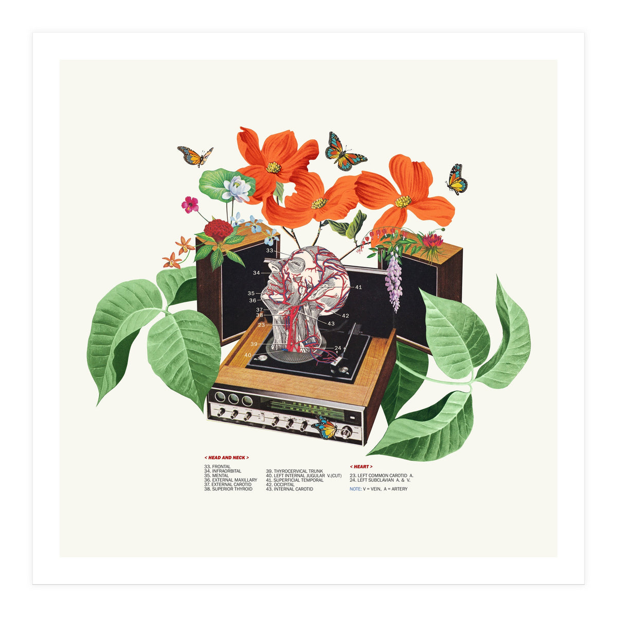 Brainwave (Print Only)