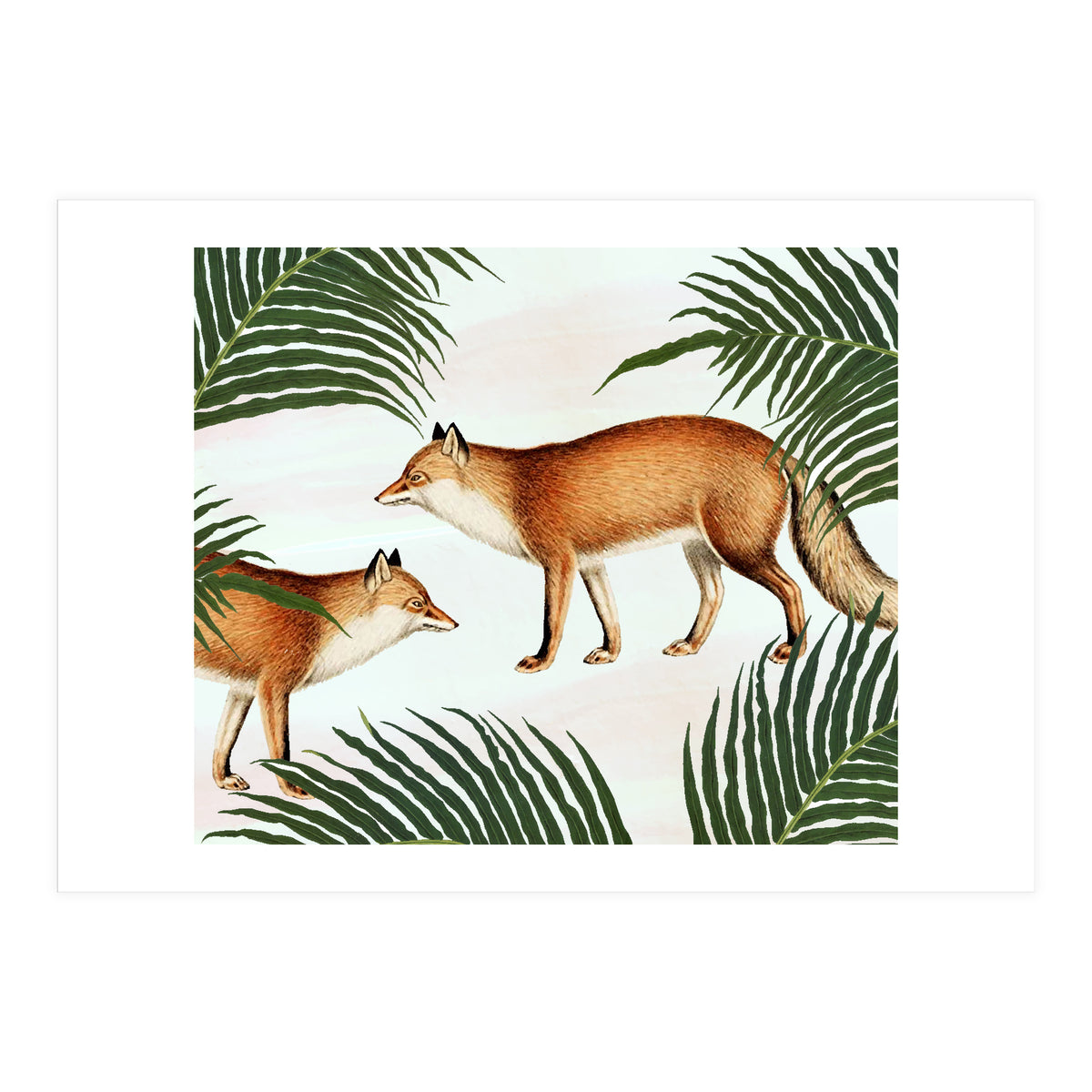 Red Fox Pair (Print Only)