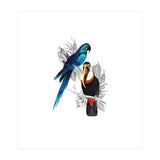 The Toucan and the Parrot (Print Only) thumbnail