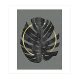 Monstera Deliciosa I (Print Only) thumbnail