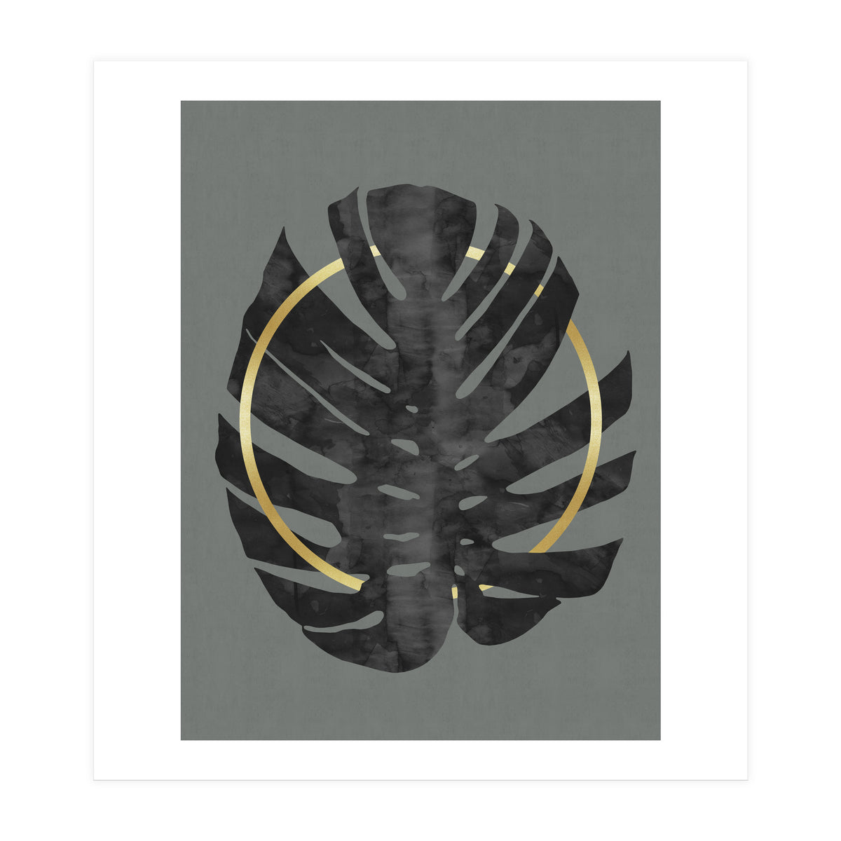 Monstera Deliciosa I (Print Only)