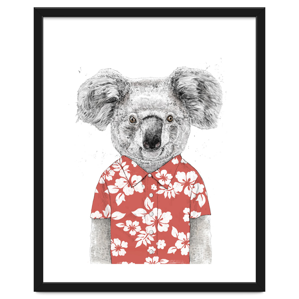 Summer Koala