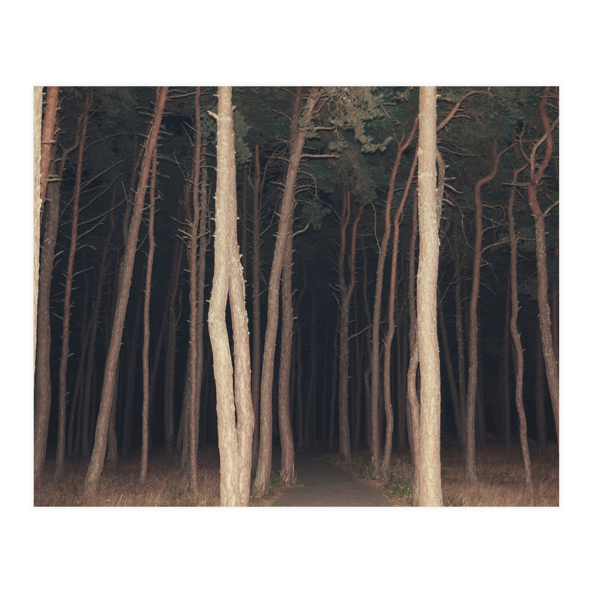 The Slender Man (Print Only)