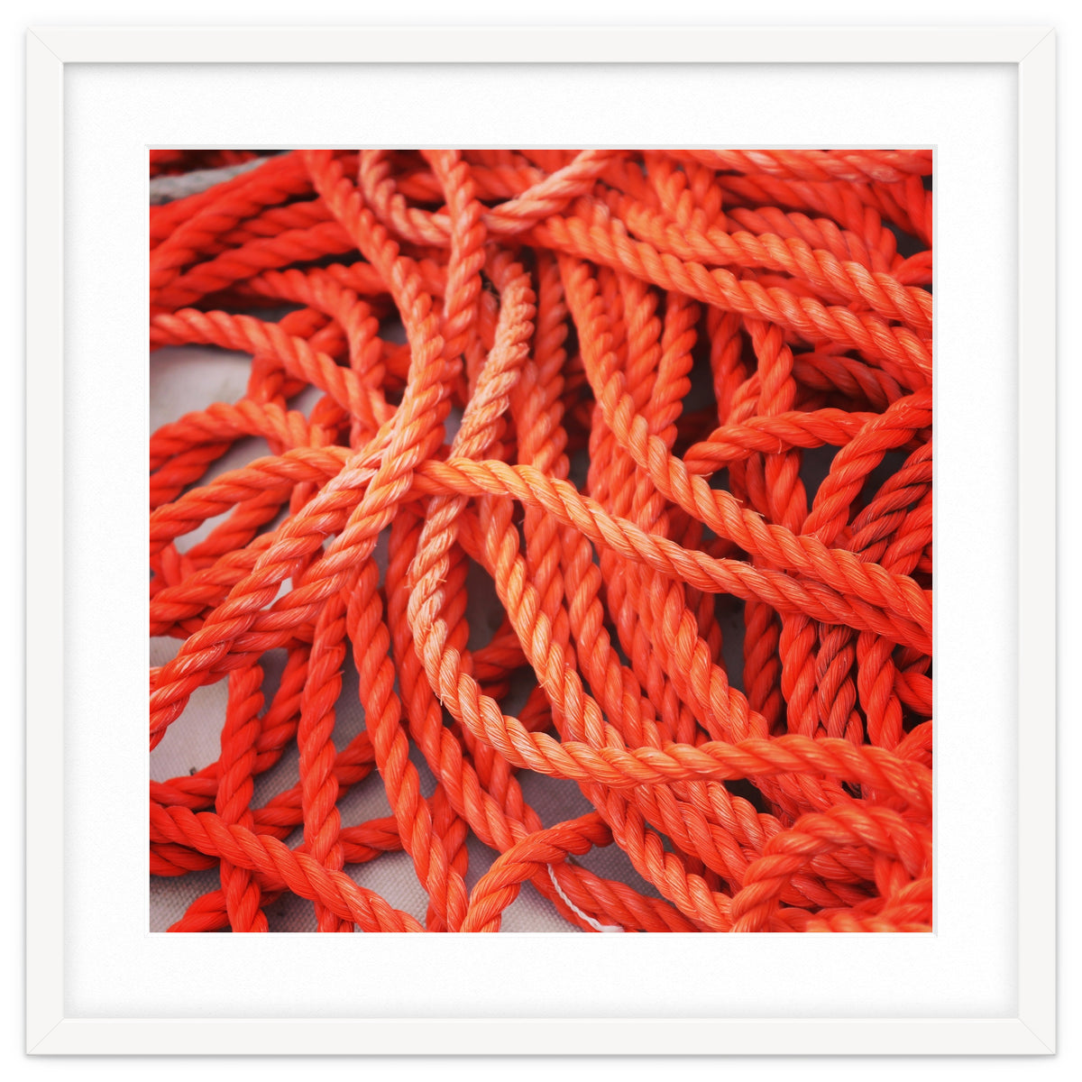 Orange ropes