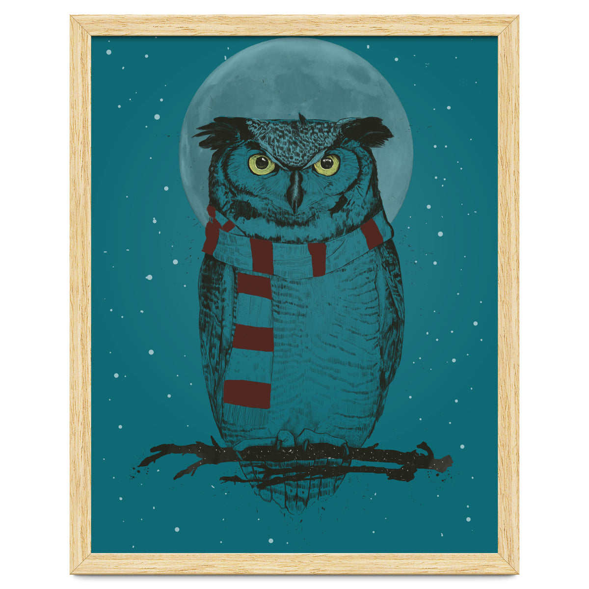 Winter Owl II