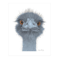 The Blue Emu (Print Only)