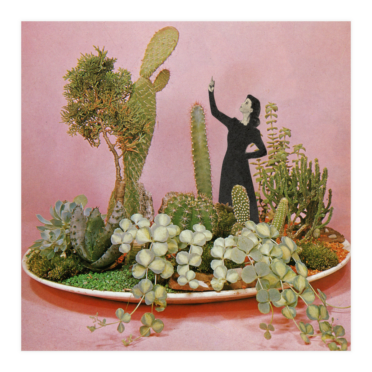 The Wonders Of Cactus Island (Print Only)