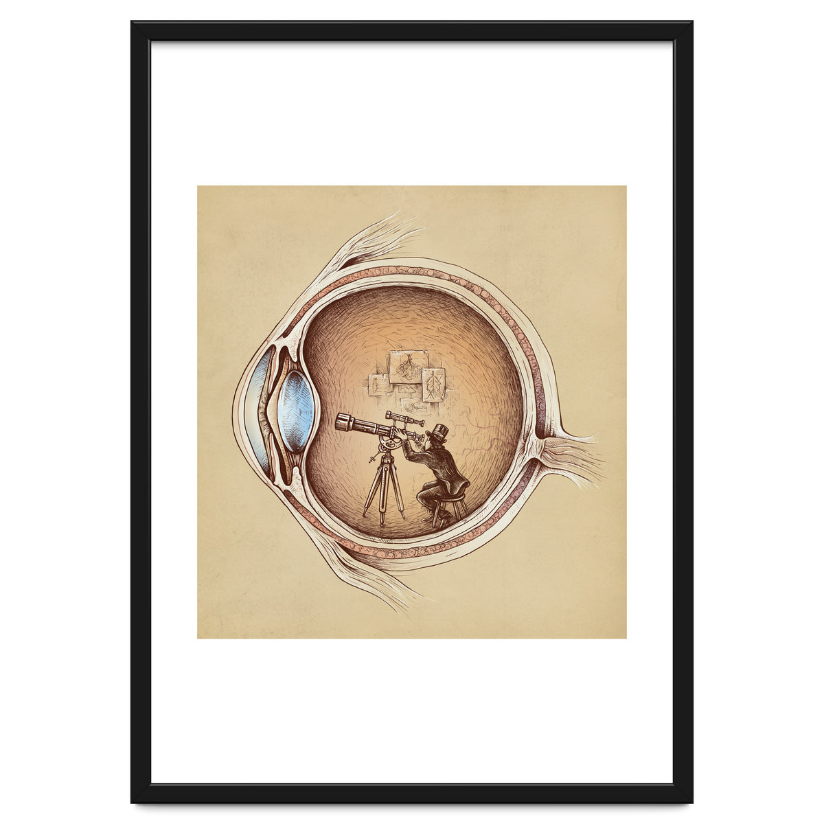 Extraordinary Observer