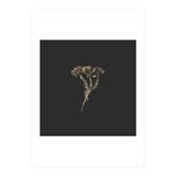 Gold Burst Botanicals - Square (Print Only) thumbnail