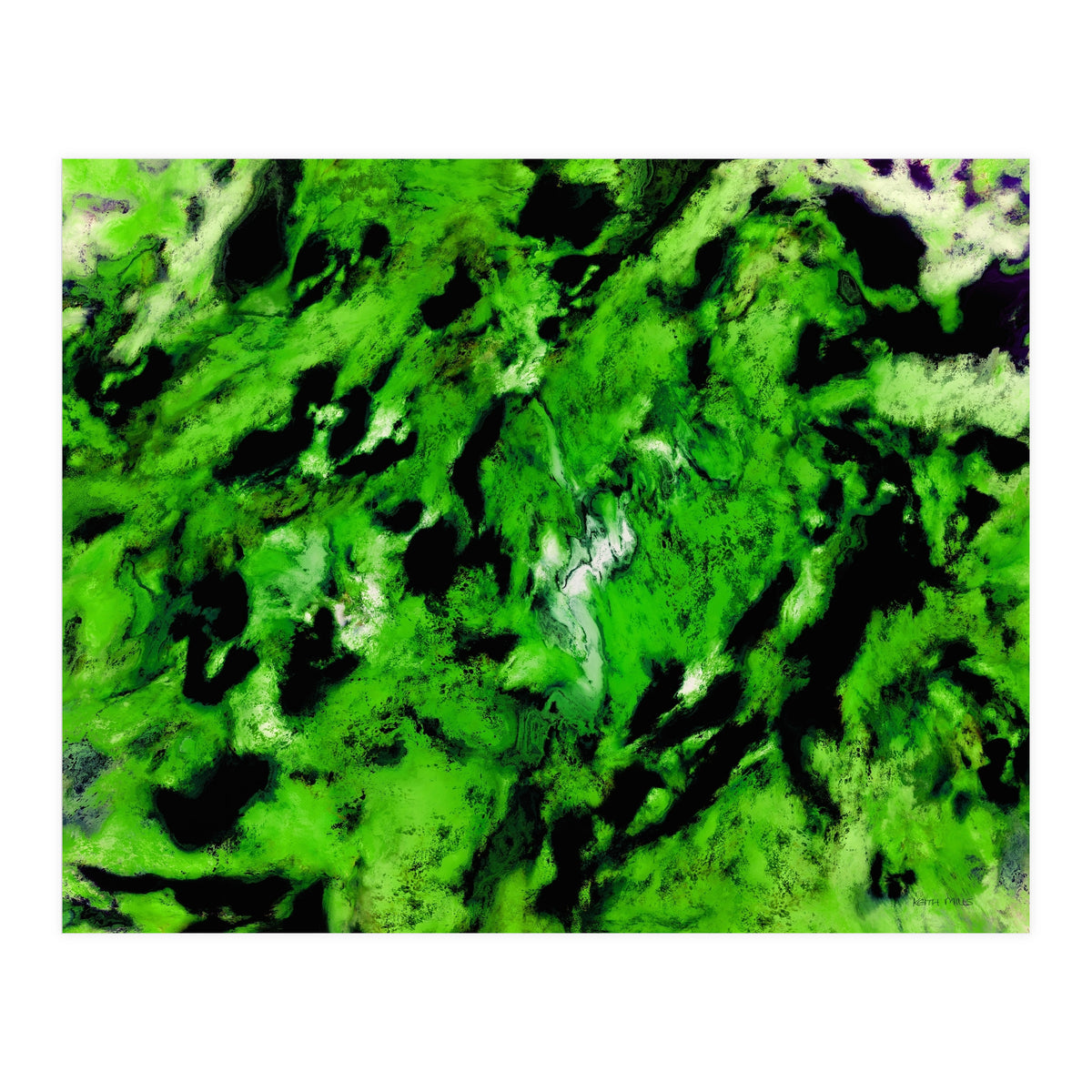 More Distinguishing Marks (Print Only)