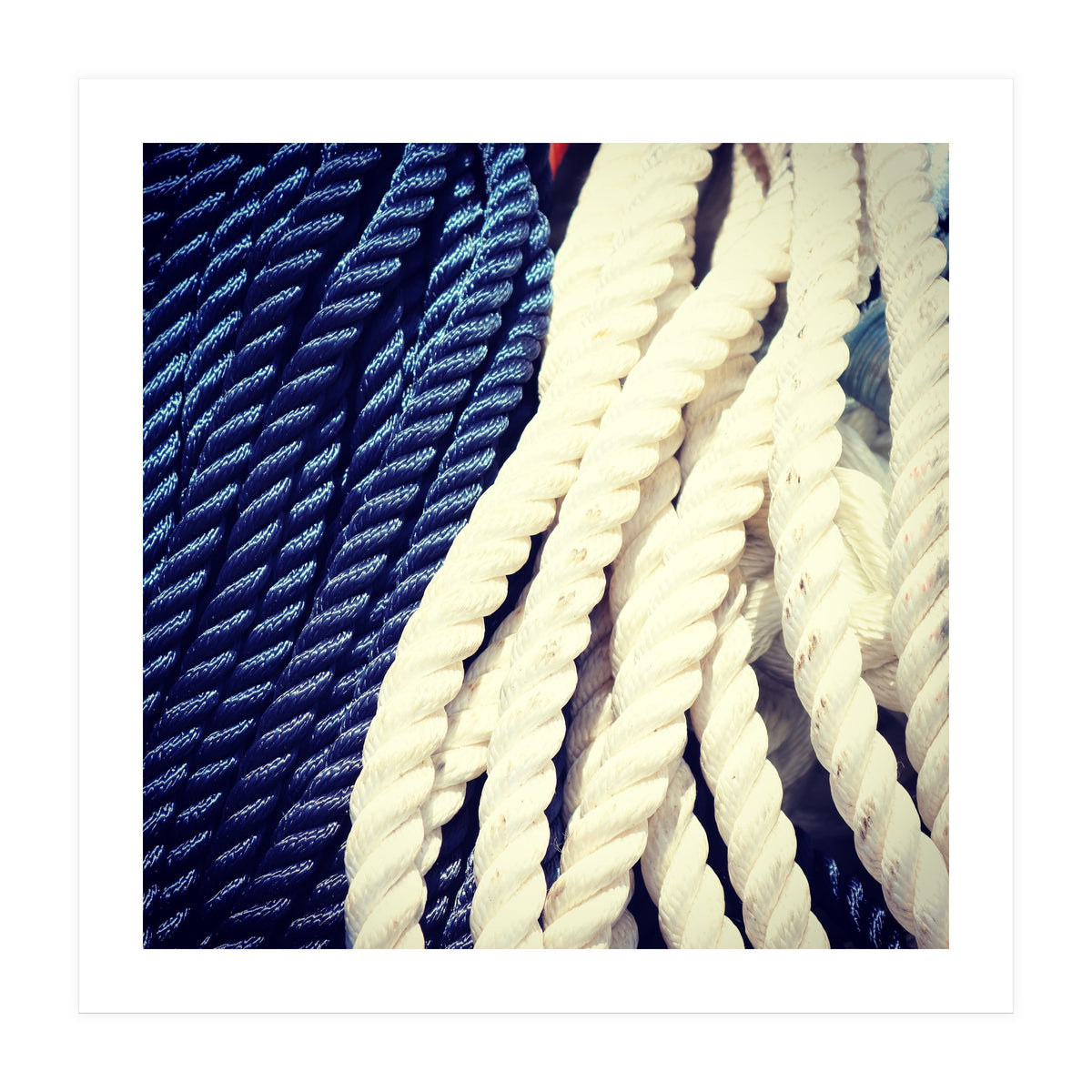 Blue and white fishing rope (Print Only)