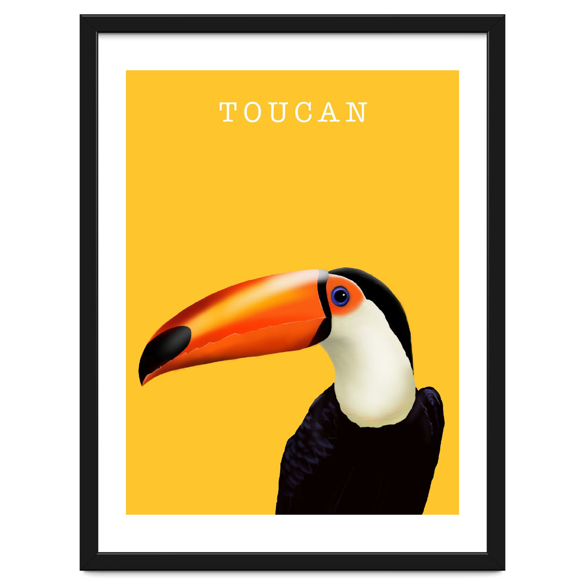 Toucan