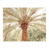 Tropical Palm Tree (Print Only) thumbnail