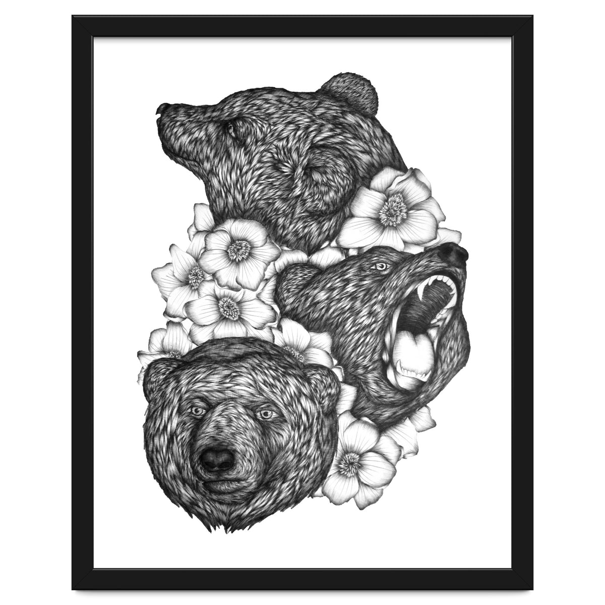 Bears In Bears