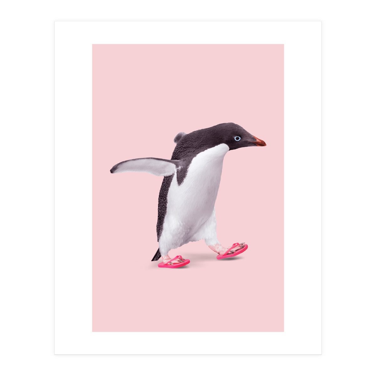 Flip Flop Penguin (Print Only)