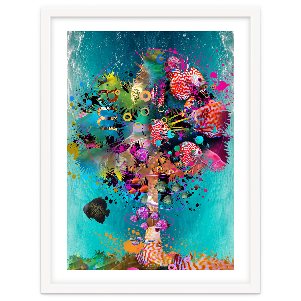 Surf Palm 02 Halfed Large2