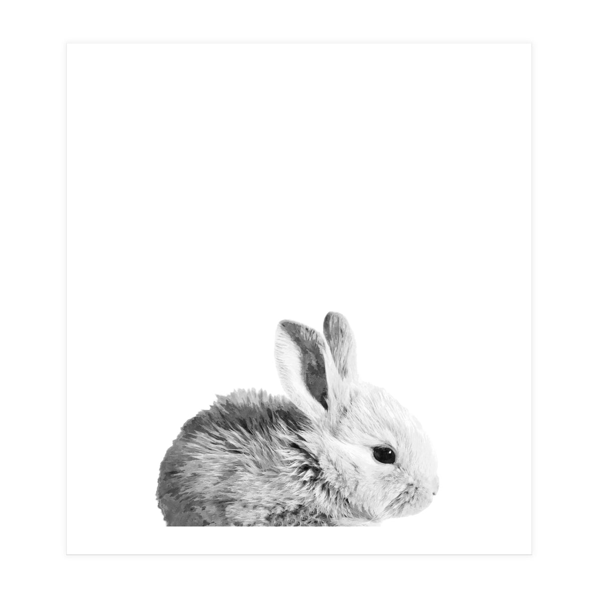 Black and White Bunny Portrait (Print Only)