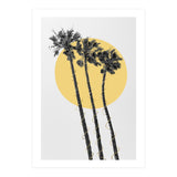 Palm Trees in the sun  (Print Only) thumbnail