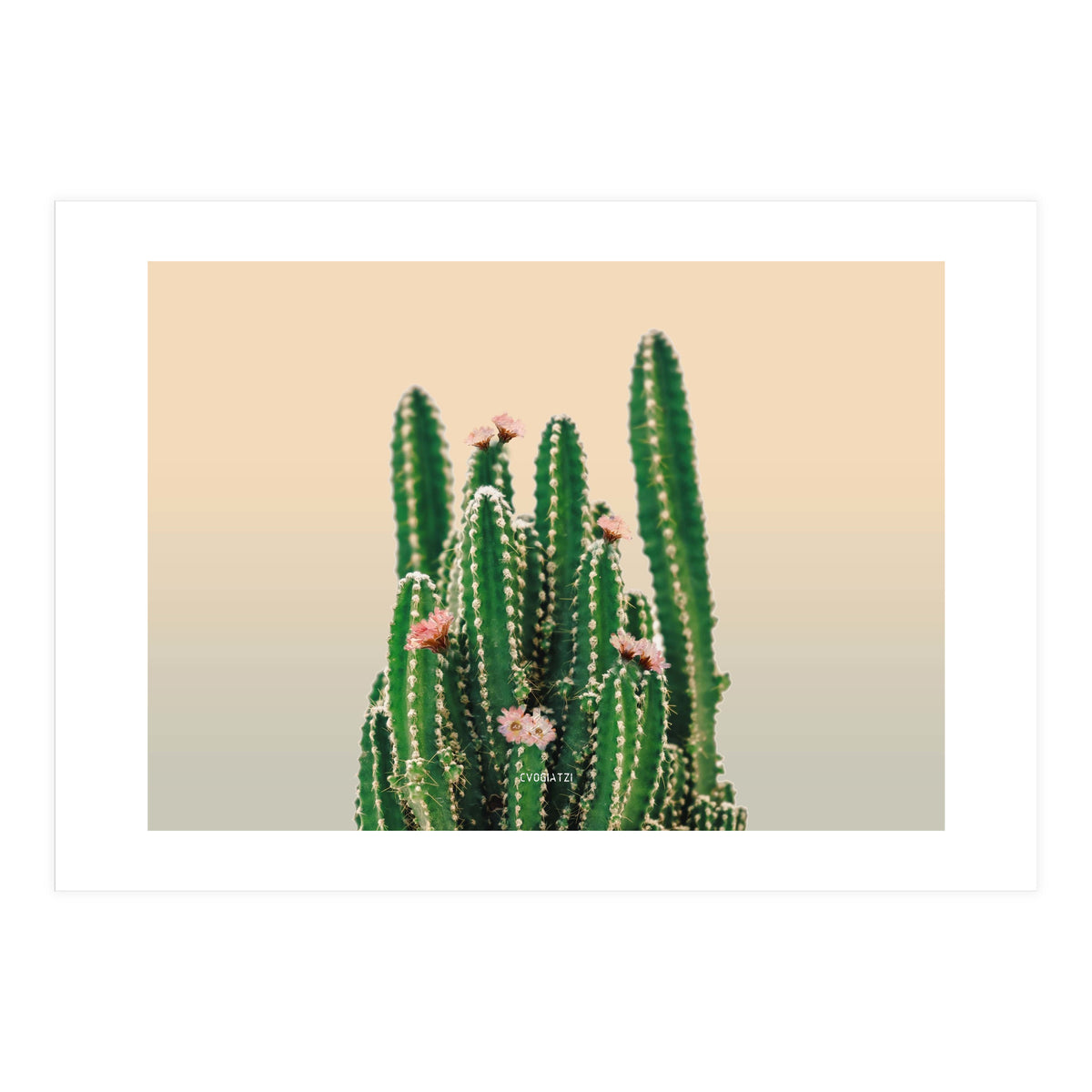 Flowered Cactus (Print Only)