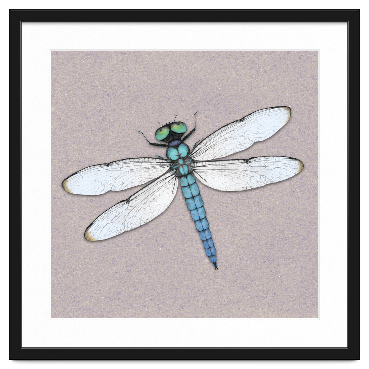 Blue dragonfly