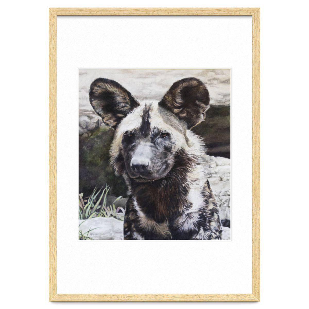 African Painted Dog II