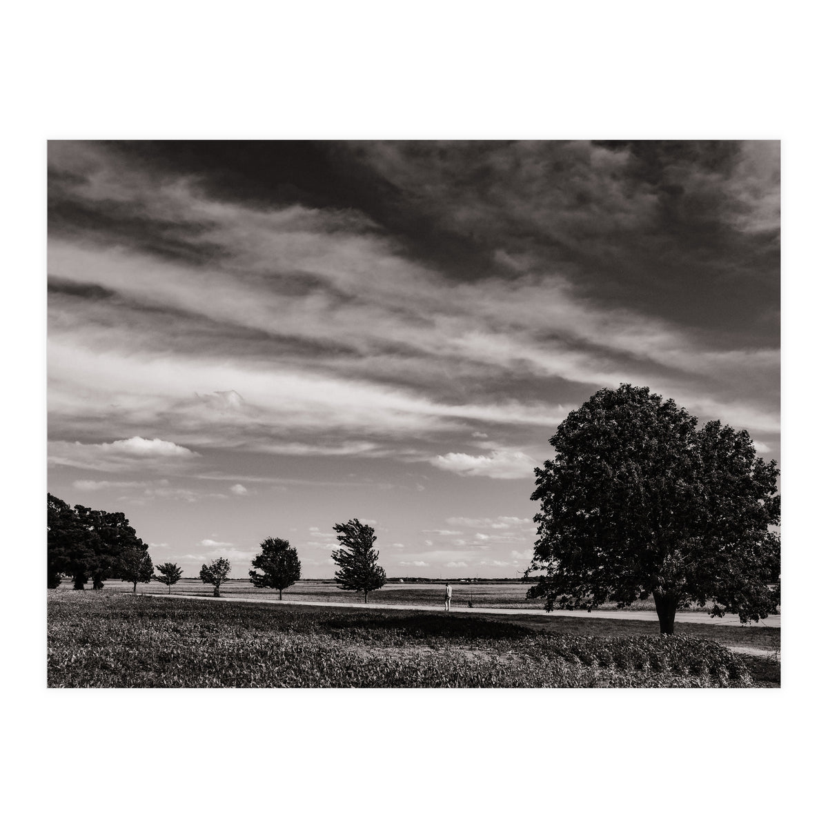 Country Road, Illinois  (Print Only)