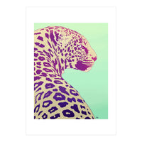 Leopard Under The Sun (Print Only)